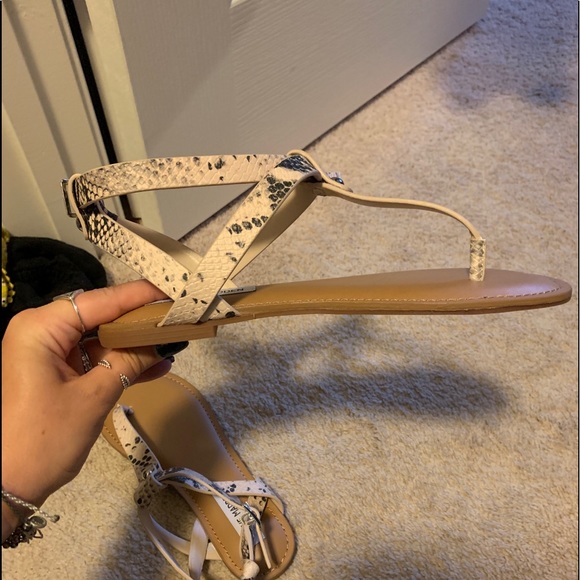 NEW Steve Madden snakeskin t-strap sandals - Picture 2 of 3